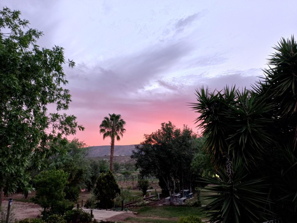 Karoo Life B&B カリッツドープ エクステリア 写真