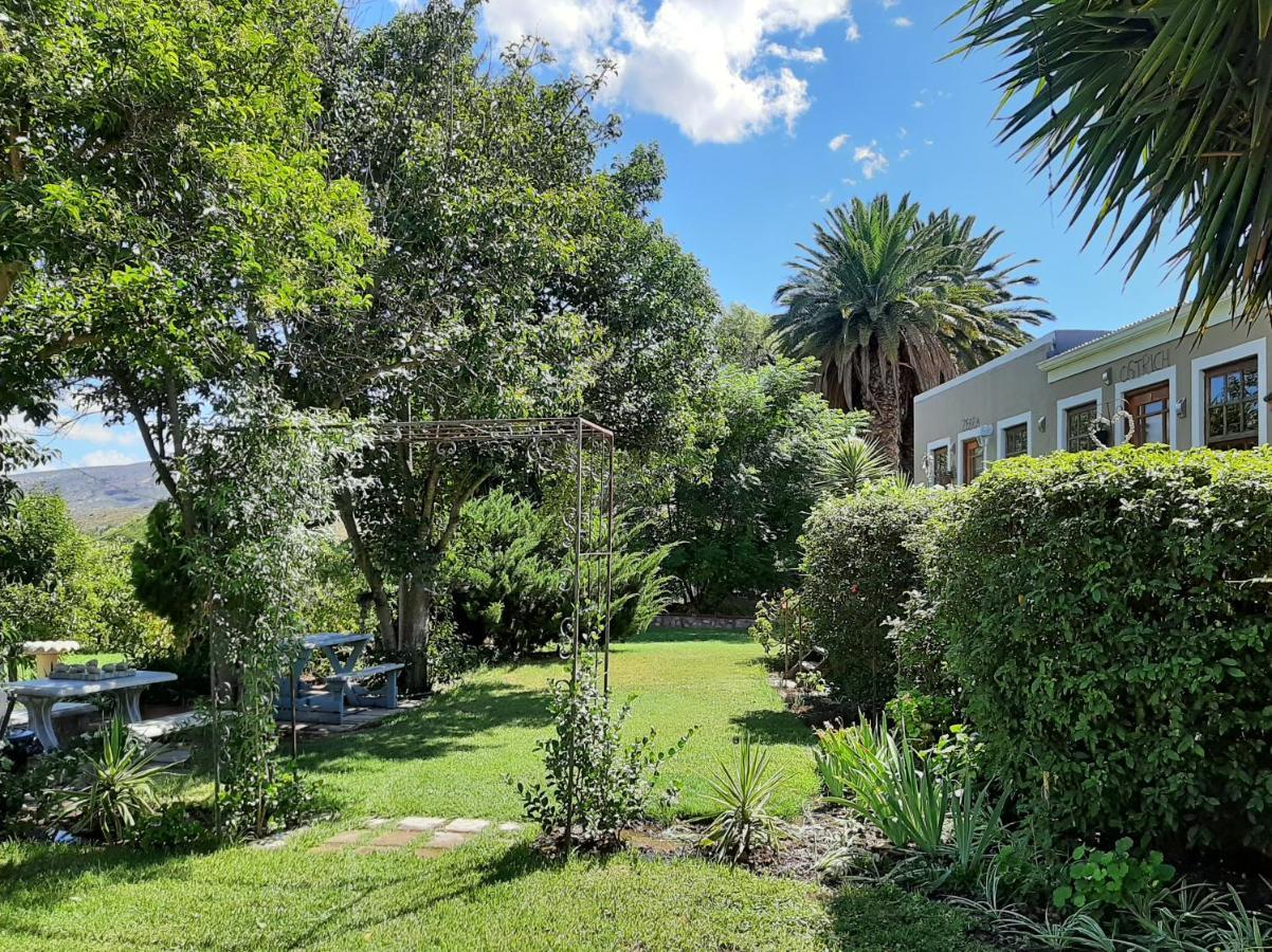 Karoo Life B&B カリッツドープ エクステリア 写真