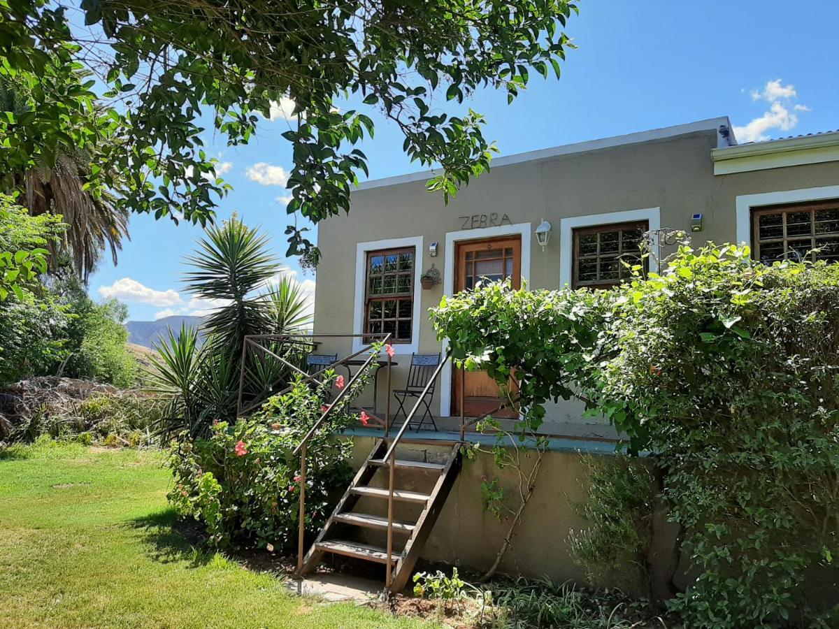 Karoo Life B&B カリッツドープ エクステリア 写真